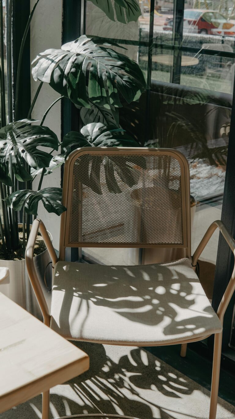 Mastering Biophilic Design: How Natural Furniture Transforms Your Home